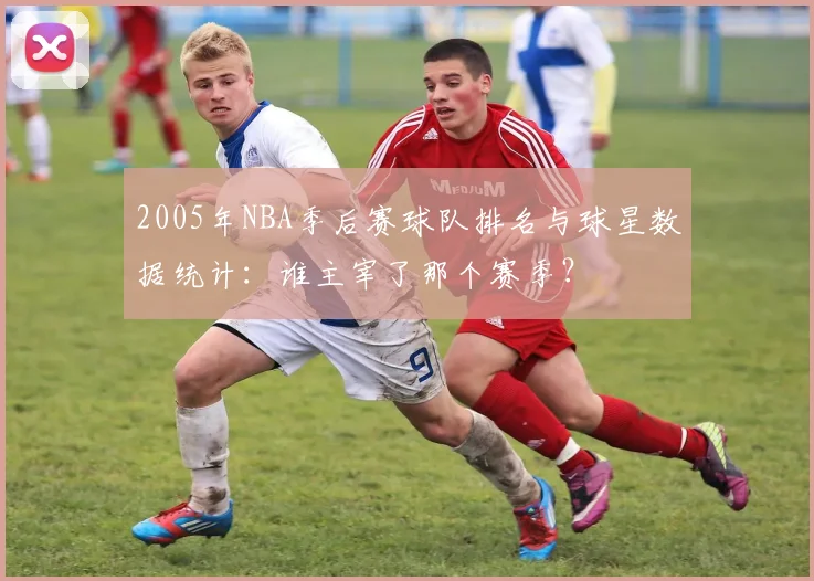 2005年NBA季后赛球队排名与球星数据统计：谁主宰了那个赛季？