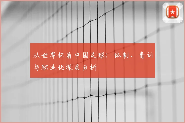 从世界杯看中国足球：体制、青训与职业化深度分析