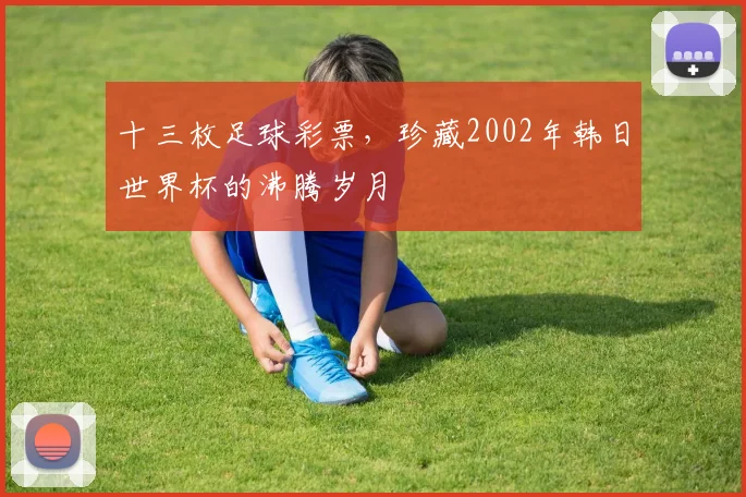十三枚足球彩票,珍藏2002年韩日世界杯的沸腾岁月