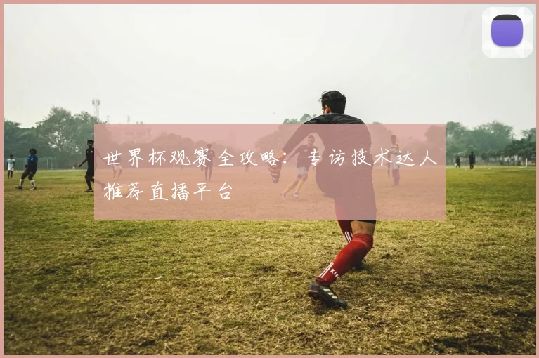 世界杯观赛全攻略:专访技术达人推荐直播平台