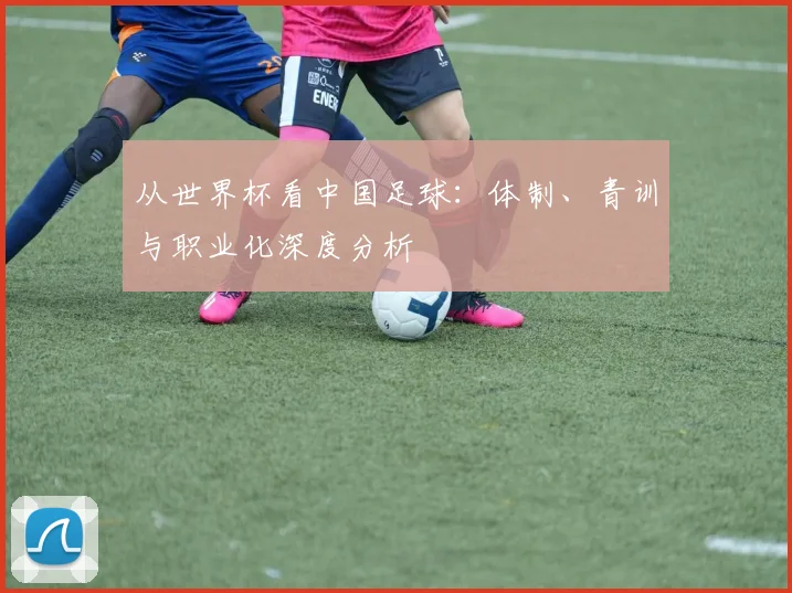 从世界杯看中国足球：体制、青训与职业化深度分析