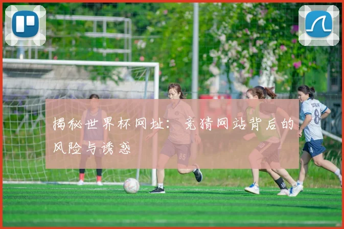 揭秘世界杯网址：竞猜网站背后的风险与诱惑