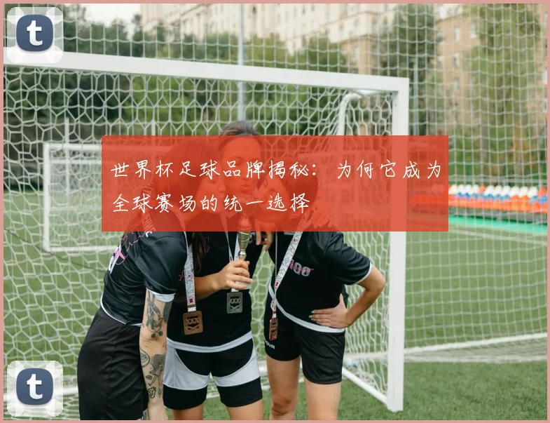世界杯足球品牌揭秘：为何它成为全球赛场的统一选择