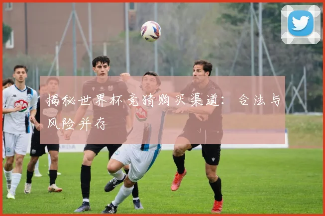 揭秘世界杯竞猜购买渠道:合法与风险并存