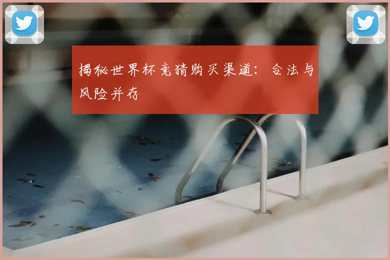 揭秘世界杯竞猜购买渠道:合法与风险并存