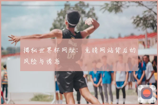 揭秘世界杯网址：竞猜网站背后的风险与诱惑