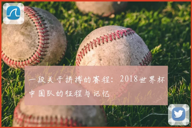 一段关于拼搏的赛程:2018世界杯中国队的征程与记忆