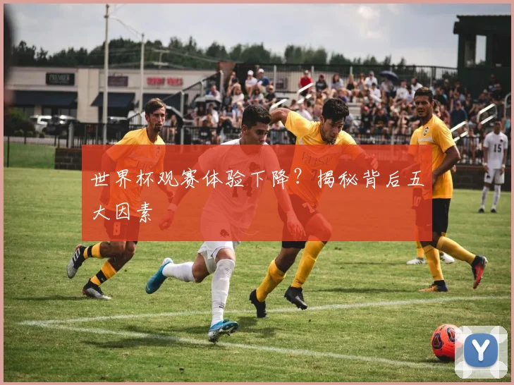 世界杯观赛体验下降?揭秘背后五大因素