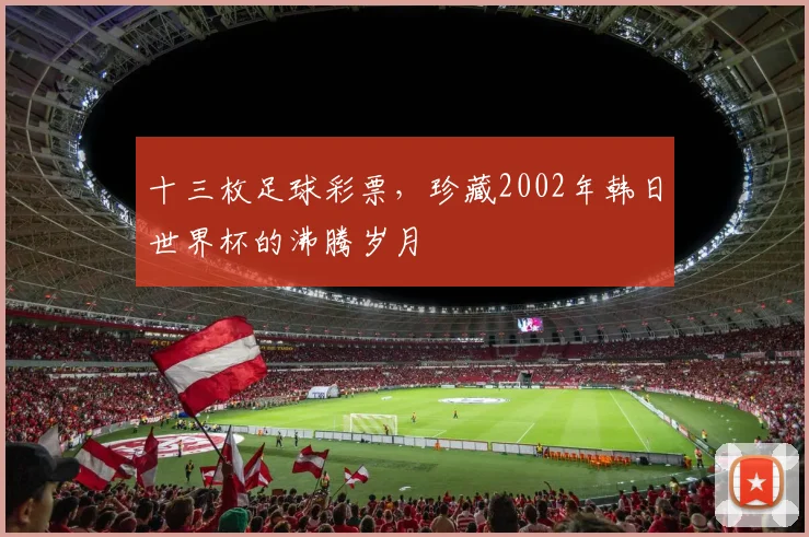 十三枚足球彩票,珍藏2002年韩日世界杯的沸腾岁月
