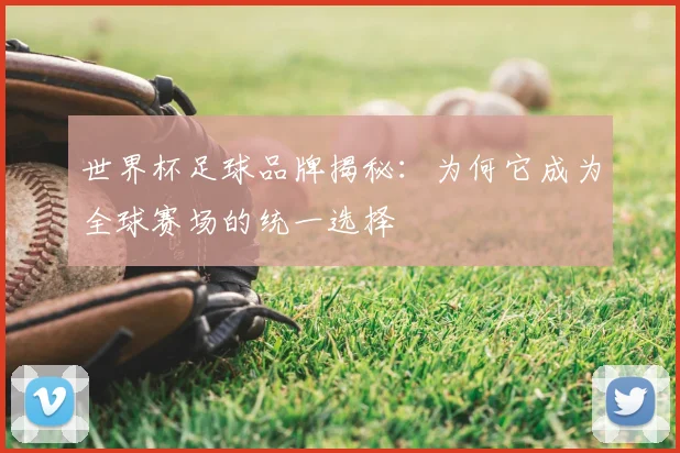 世界杯足球品牌揭秘:为何它成为全球赛场的统一选择