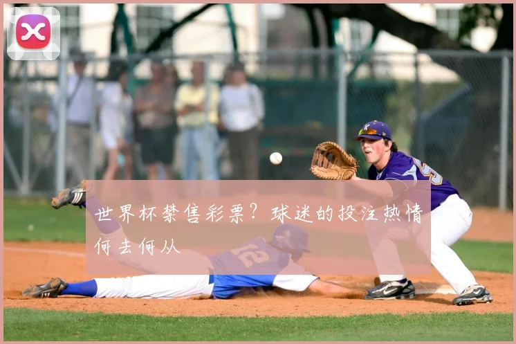 世界杯禁售彩票?球迷的投注热情何去何从