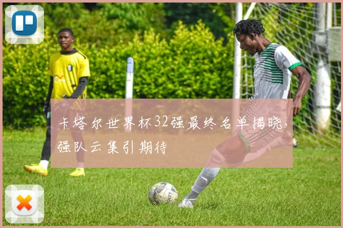 卡塔尔世界杯32强最终名单揭晓，强队云集引期待